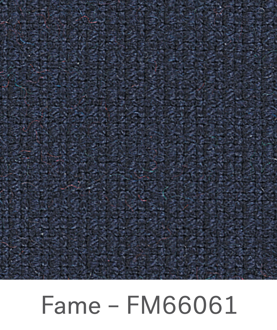 Fame FM66061