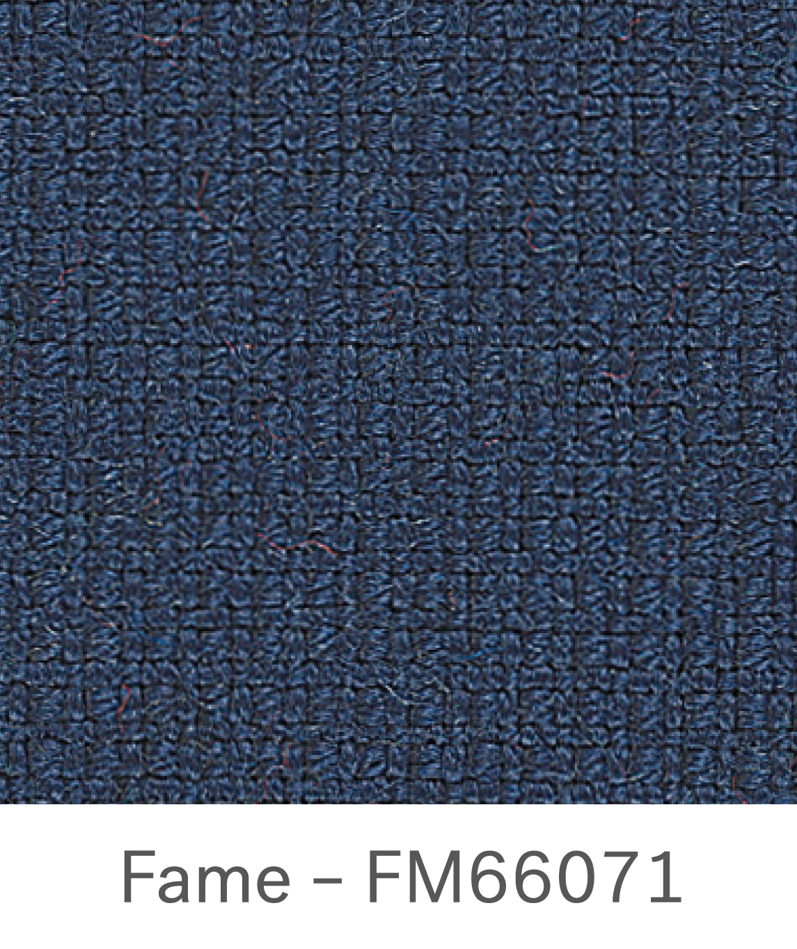 Fame FM66071